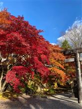 お出掛け〜古峯神社♪(*☻-☻*)