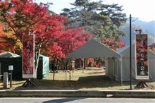長瀞 月の石もみじ公園