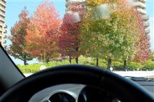 湾岸近辺、紅葉きれいなってます ～ Weekday  Drive ！
