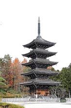 シフォンだより(定義・奥新川）