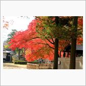 松代散歩（象山神社＋α編）