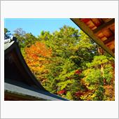 高野山に行きました！（金剛峯 ...