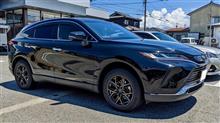 “ウェッズ レオニスLM”を装着。選んだカラーは“PBMC/TI”。パールブラック ミラーカット／チタントップとかな〜り長い正式名称で、 光の当たり具合と見る角度によって雰囲気が変わるステキな色です。