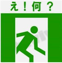 古いガソリン仕様　Coleman　レストアする？迷い、、、