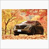 青リーフ車検は終わりましたが