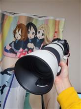 100-500mmパワー⤴️⤴️⤴️