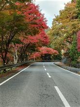 洞川温泉へ