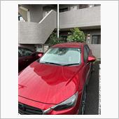洗車、コーティング、未塗装樹 ...