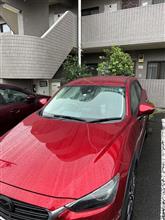 洗車、コーティング、未塗装樹脂コーティング　その後