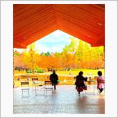 ご近所の紅葉とか