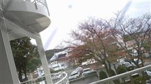 今日&quot;で&quot;リハビリ、さようなら...