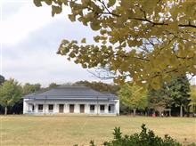 弟のクルマ選び 弟のクルマ選び