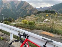 ”天空の茶畑”岐阜のマチュピチュ @ cervelo R2