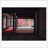 2022　紅葉狩り🍁 永観 ...