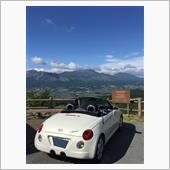 趣味は車の方へ