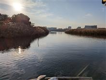 ミナミ釣船でカワハギ、タチウオ狙い