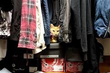 猫神様の御成ぁりぃ~ 猫神様の御成ぁりぃ~