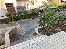 出撃致します(￣▽￣)