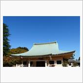 豪徳寺の紅葉．．．早かったか。