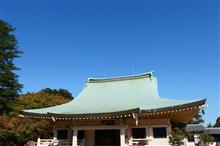 豪徳寺の紅葉．．．早かったか。