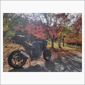 奥三河の紅葉終わりかけツーリ ...