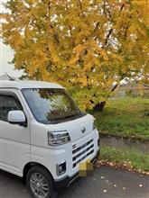 HIJET CARGO 無事に納車されました!