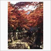 伊勢原市（大山寺など）ドライ ...