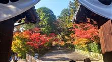 2022年･長岡京光明寺