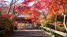 2022年･亀岡鍬山神社【前編】 