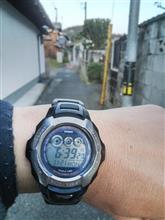 今朝のウォーキング