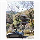 伊勢原市（大山寺など）ドライ ...