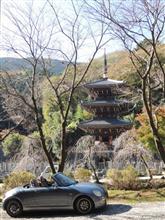 伊勢原市（大山寺など）ドライブ その2