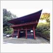 栃木に紫式部（？）、紅葉と芋フライ