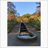 北山緑化植物園