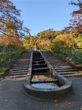 北山緑化植物園