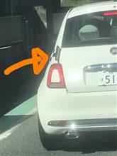 かわいい車🚗と知らない車🚙