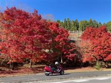 京都北部の紅葉