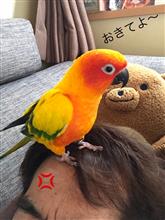 オス？メス？やっと判明