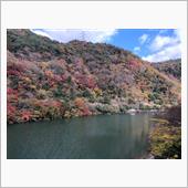 宇治川ラインの紅葉