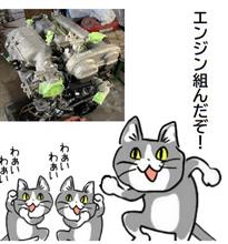 蛹を破り…