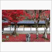 2022　紅葉狩り🍁 永源 ...