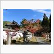 三原、佛通寺の紅葉＾＾