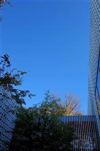 日曜日の朝は．．．朝ドラ兼ねて代官山T-SITEへ