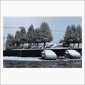 北海道、雪降りましたね