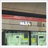 東京25日目