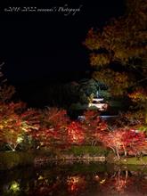 夕暮れの真如堂、からのぉ〜はしごライトアップ（妙覚寺-妙顕寺-永観堂）