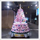 12月になっちゃいました。　