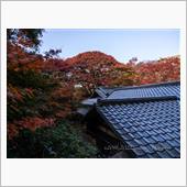 瑠璃光院〜八瀬もみじの小径〜 ...