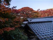 瑠璃光院〜八瀬もみじの小径〜浄住寺〜地蔵院