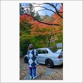 ちょっと前ですが、紅葉が綺麗 ...